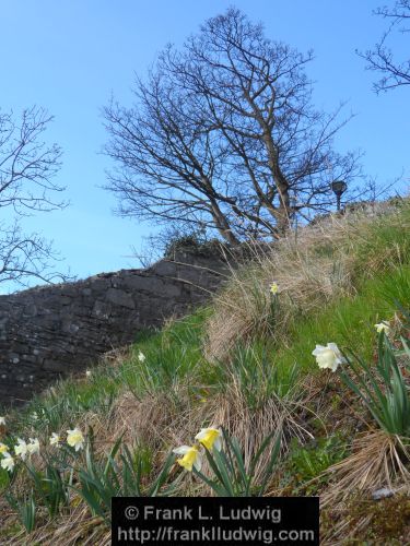 Spring in Sligo Town2